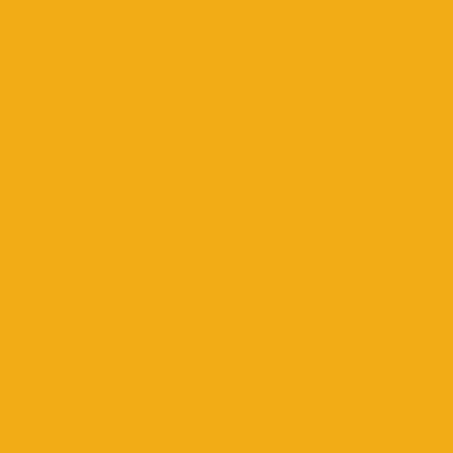 Superior Seamless Paper 53-Inch x 36-Foot Rolls