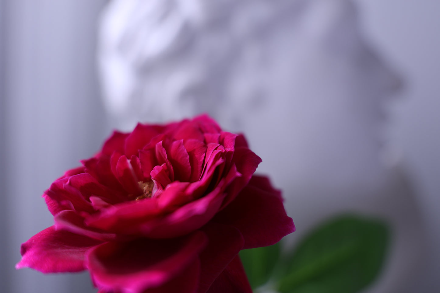 Canon RF 16-28mm f/2.8 IS STM Lens