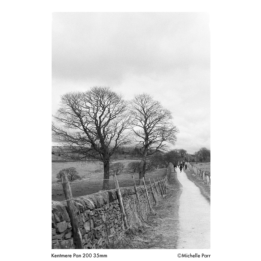 KENTMERE 200 Black & White Film - 35mm, 36 EXP