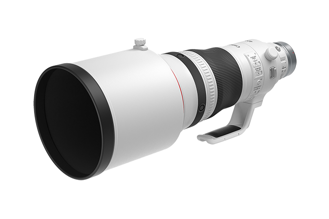 Canon RF 400mm f/2.8 L IS USM Lens