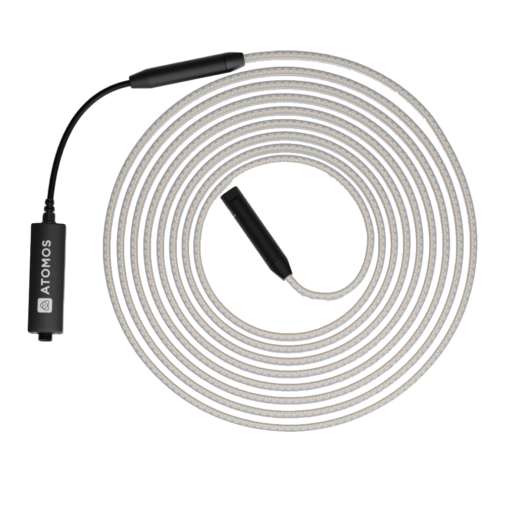 Atomos Sun Dragon Rope Light