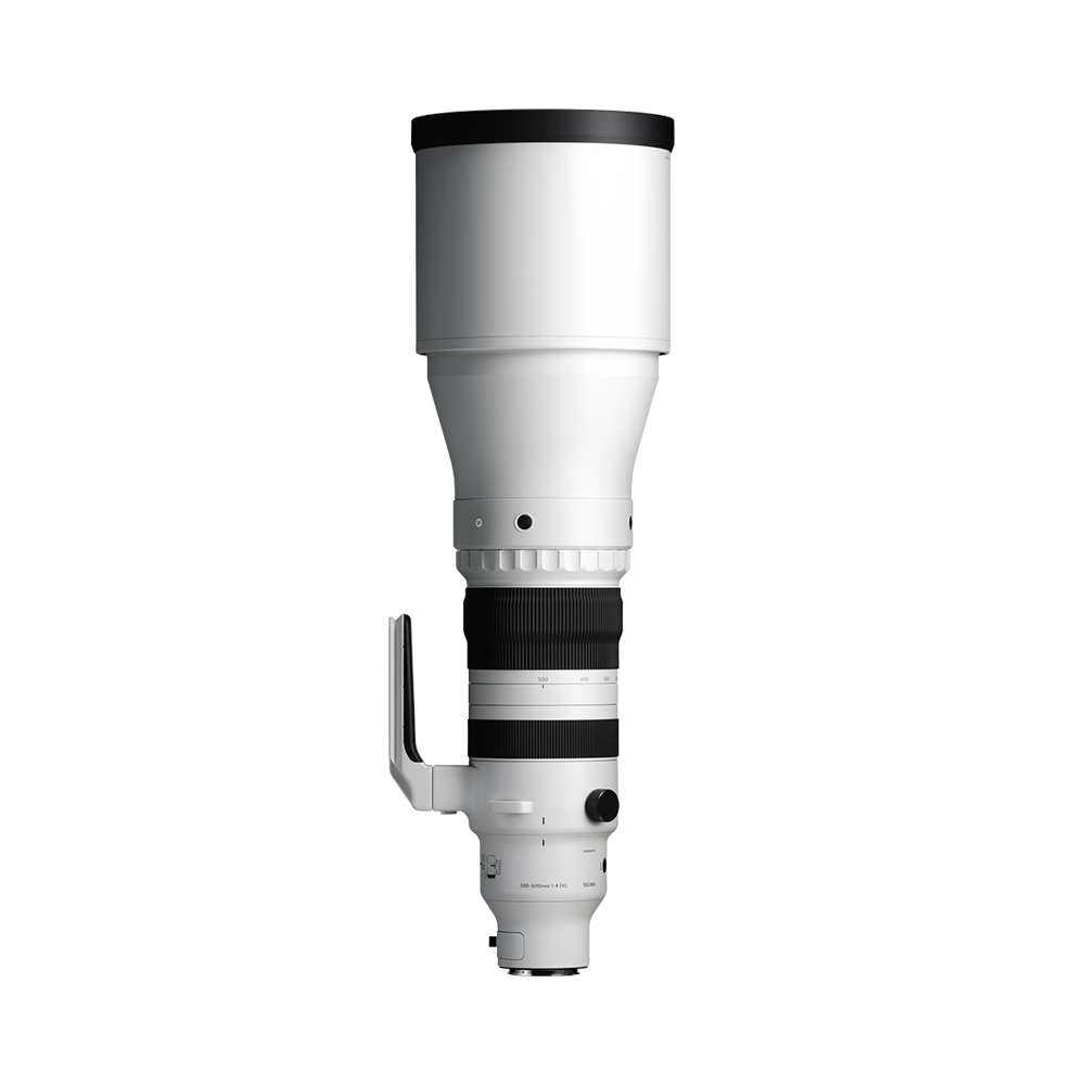 Sigma 300-600mm f/4 DG OS | Sports Lens