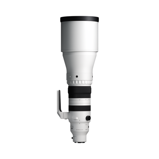 Sigma 300-600mm f/4 DG OS | Sports Lens