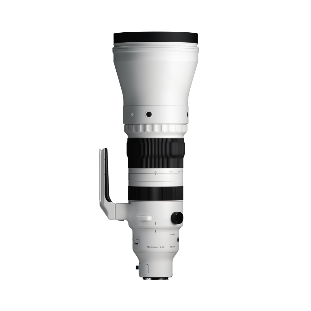 Sigma 300-600mm f/4 DG OS | Sports Lens