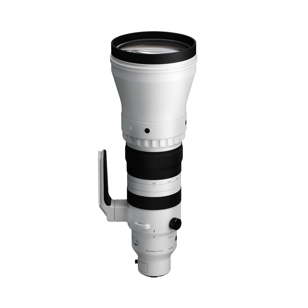 Sigma 300-600mm f/4 DG OS | Sports Lens