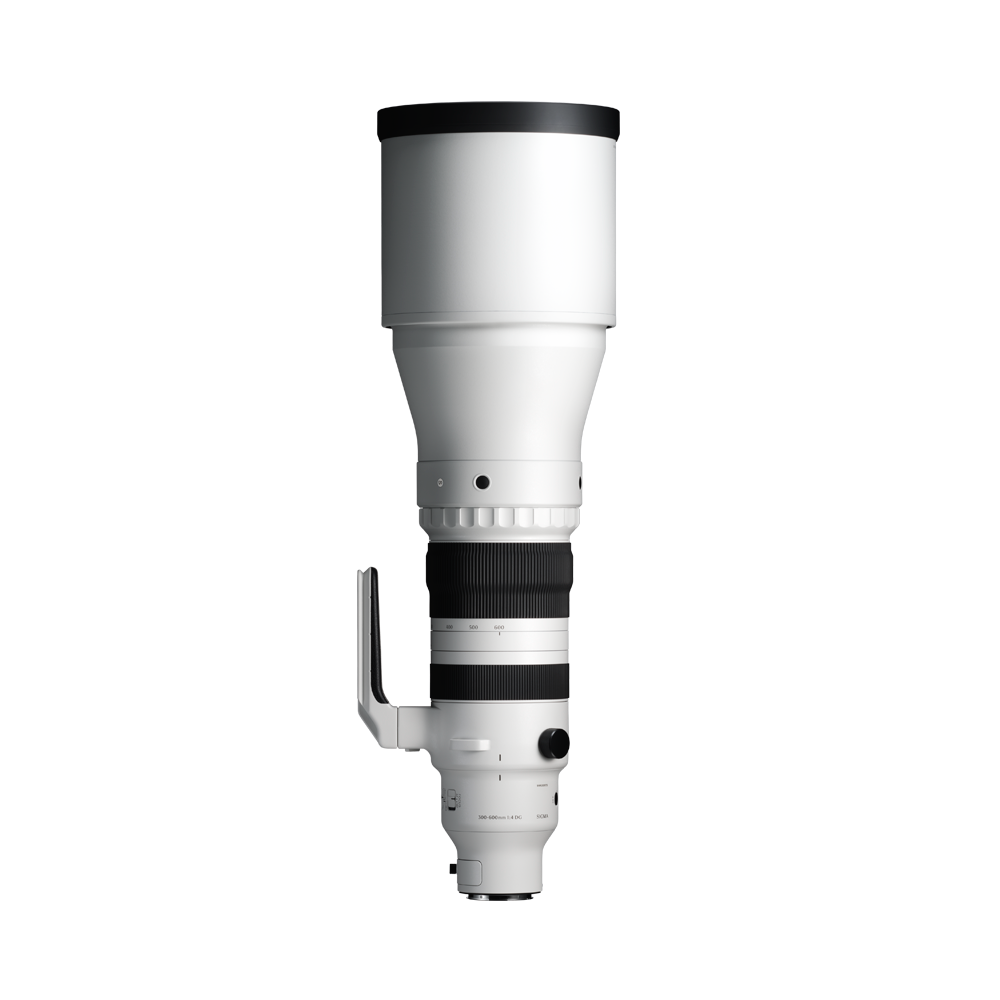 Sigma 300-600mm f/4 DG OS | Sports Lens