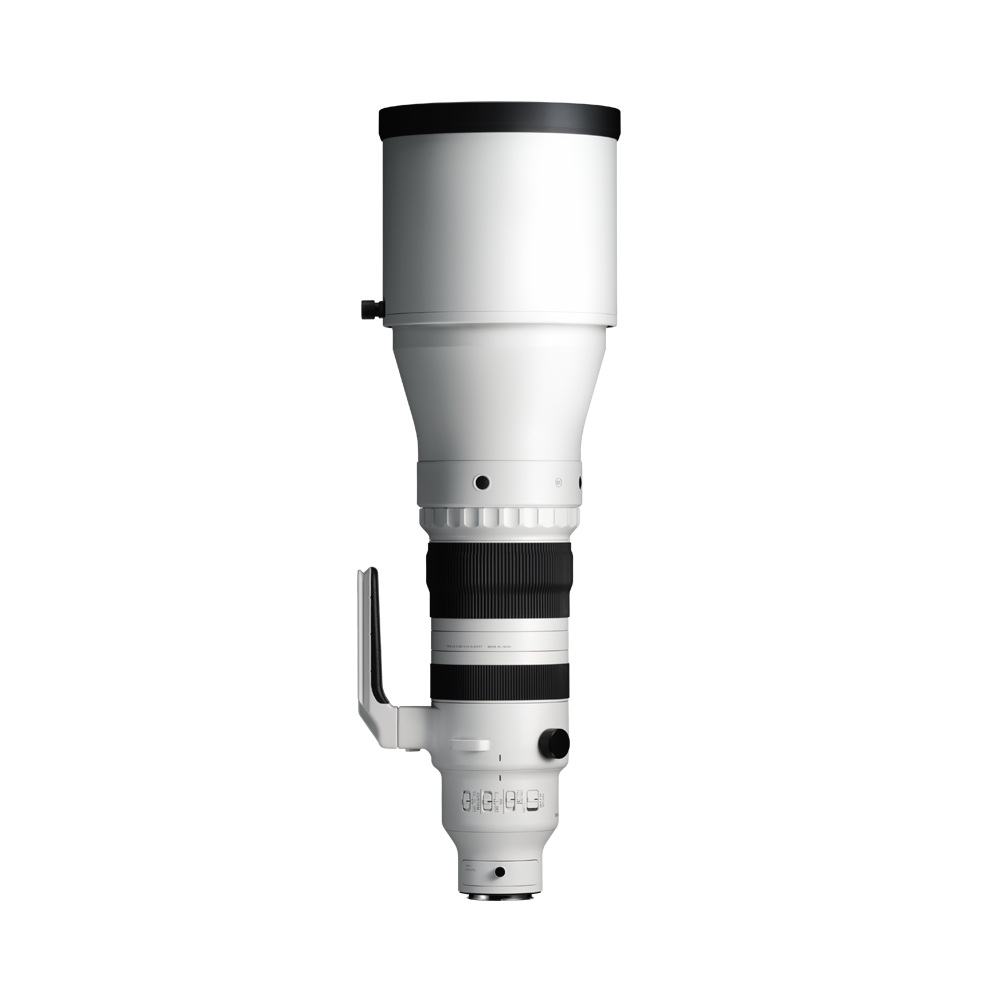 Sigma 300-600mm f/4 DG OS | Sports Lens