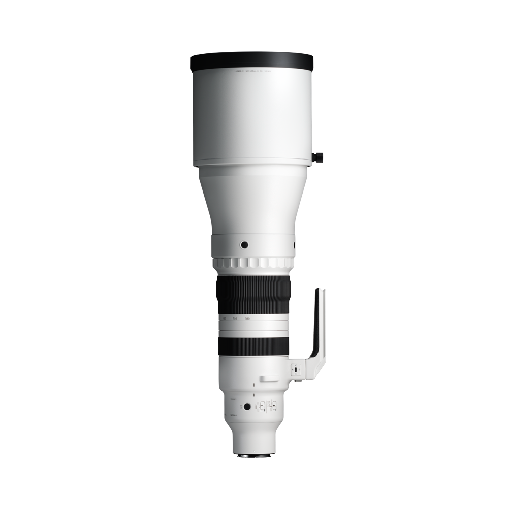 Sigma 300-600mm f/4 DG OS | Sports Lens