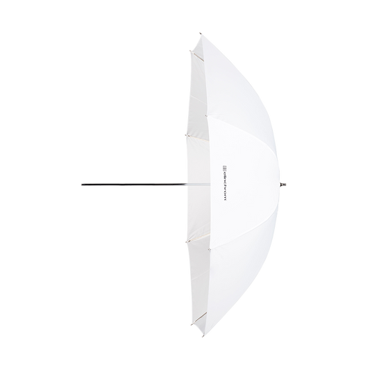41" Shallow Translucent