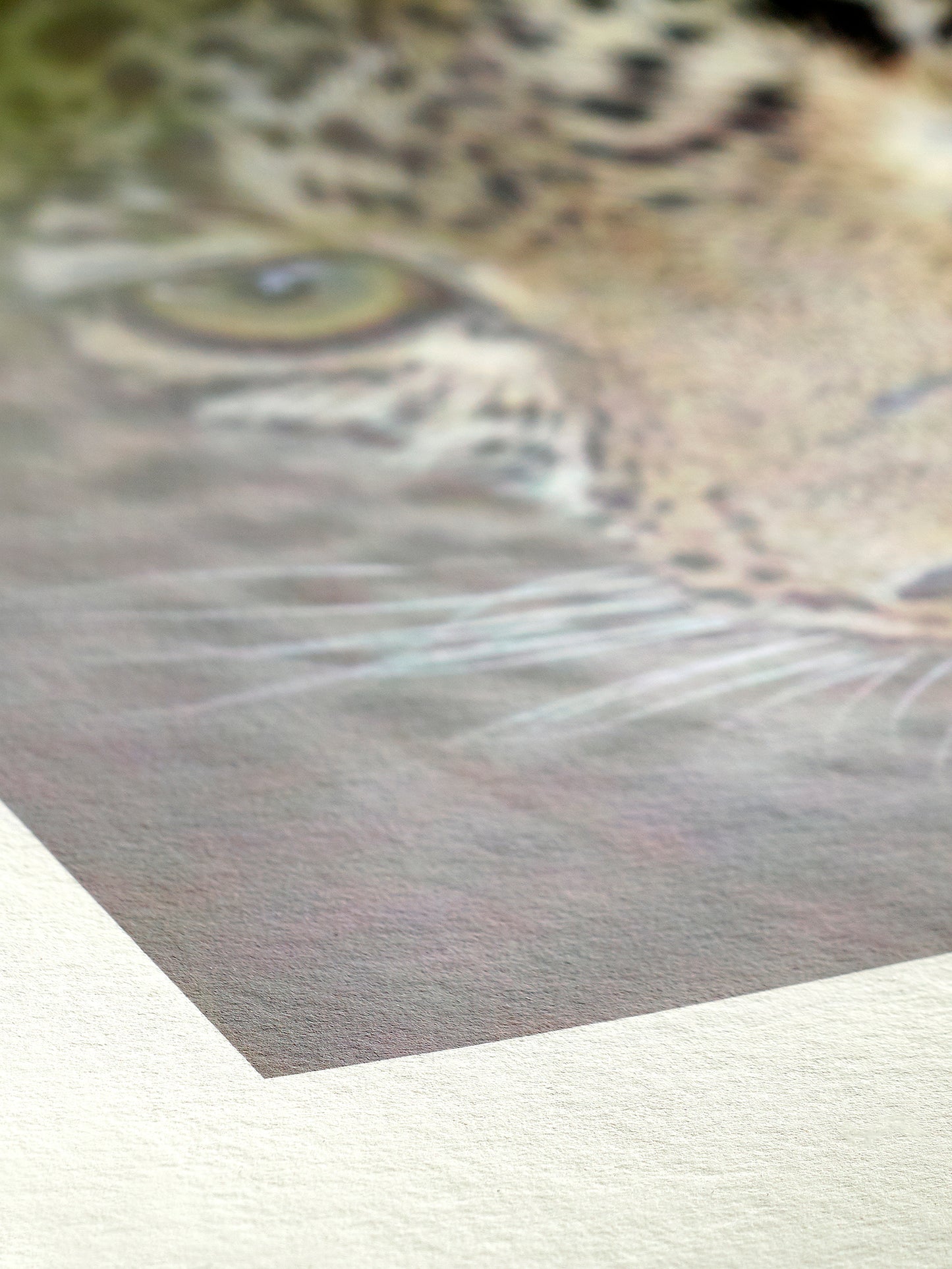 Hahnemuhle Bamboo Roll Paper 290gsm